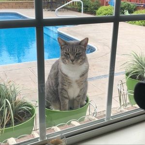 Meet your Posher, Jodi